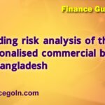 Lending risk analysis of the nationalised commercial banks of Bangladesh